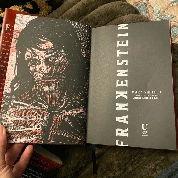 Frankenstein Hardcover Book - Picture 7 of 8